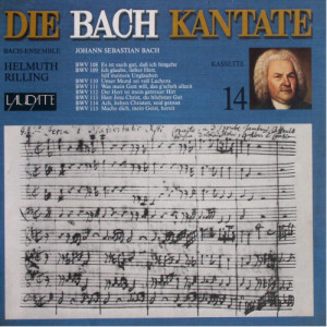 Bach - Die Bach Kantate 14 - LP Box Set - Vinyl - LP Box Set
