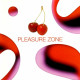 Pleasure Zone - CD