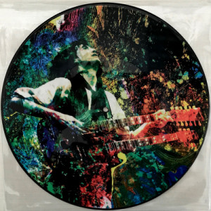 Led Zeppelin - Kashmir - Vinyl - LP Picture Disc