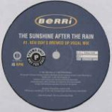 BERRi - The Sunshine After The Rain - Vinyl Double 12 Inch