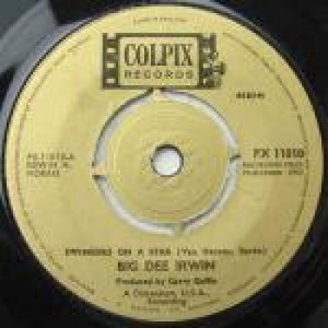 Big Dee Irwin - Swinging On A Star - Vinyl 7 Inch - Vinyl - 7"