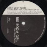 Big Room Girl & Darryl Pandy - Raise Your Hands - Vinyl 12 Inch