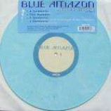 Blue Amazon - 4 Seasons - Vinyl Double 10 Inch