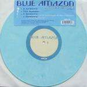 Blue Amazon - 4 Seasons - Vinyl Double 10 Inch - Vinyl - 2 x 10''