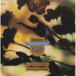 Danny Wilson - The Second Summer Of Love - Vinyl 10 Inch