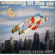 Walking In The Air - Remixes - Vinyl 12 Inch