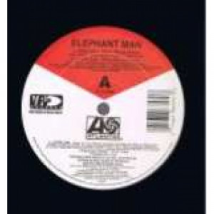 Elephant Man - Jook Gal (Wine Wine) (Remix) - Vinyl 12 Inch - Vinyl - 12" 