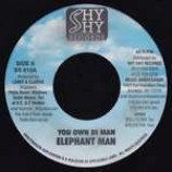 Elephant Man & Zicka P - You Own Di Man / Well Well - Vinyl 7 Inch