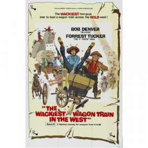 Various Artists - The Wackiest Wagon Train In The West - DVD - DVD