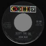 Adam Wade - Take Good Care Of Her / Sleepy Time Gal - 45