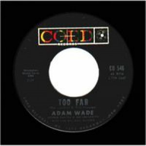 Adam Wade - Take Good Care Of Her / Too Far - 45 - Vinyl - 45''