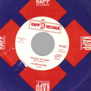 Allen Wayne - Tell Me Why / Walkin' My Baby - 45 - Vinyl - 45''