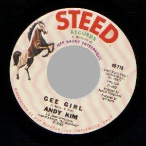 Andy Kim - Baby I Love You / Gee Girl - 45 - Vinyl - 45''