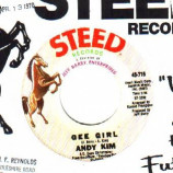 Andy Kim - Baby I Love You / Gee Girl - 45