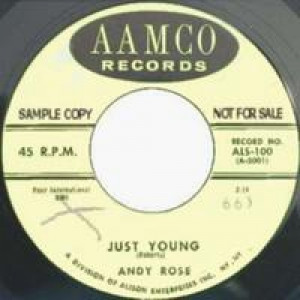 Andy Rose - Lov-a Lov-a Love / Just Young - 45 - Vinyl - 45''