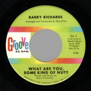 Barry Richards - What Are You Some Kind Of Nut? / Last Night A Heart Was Broken - 45 - Vinyl - 45''