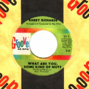 Barry Richards - What Are You Some Kind Of Nut? / Last Night A Heart Was Broken - 45 - Vinyl - 45''