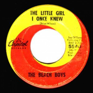 Beach Boys - There's No Other / The Little Girl I Once Knew - 45 - Vinyl - 45''