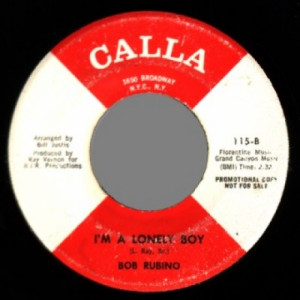 Bob Rubino - There's A Star Spangled Banner Waving Somewhere / I'm A Lonely Boy - 45 - Vinyl - 45''