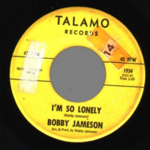 Bobby Jameson - I Wanna Love You / I'm So Lonely - 45 - Vinyl - 45''