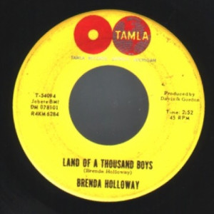 Brenda Holloway - Every Little Bit Hurts / Land Of A Thousand Boys - 45 - Vinyl - 45''