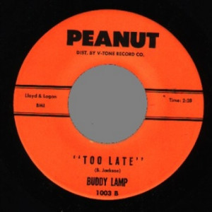 Buddy Lamp - Too Late / Insanity - 45 - Vinyl - 45''