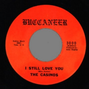Casinos - Then You Can Tell Me Goodbye / I Still Love You - 45 - Vinyl - 45''