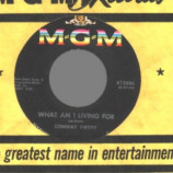 Conway Twitty - The Hurt In My Heart / What Am I Living For - 45