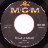 Conway Twitty - What A Dream / Tell Me One More Time - 45