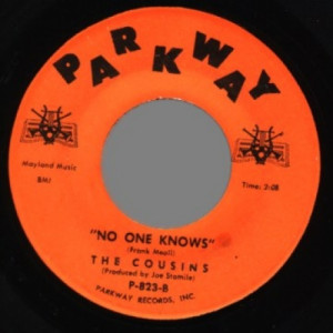Cousins - No One Knows / St. Louis Blues - 45 - Vinyl - 45''