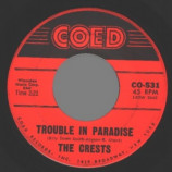 Crests - Trouble In Paradise - 45