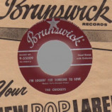 Crickets - That'll Be The Day / I'm Looking For Someone To Love - 45