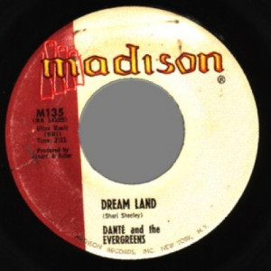 Dante & The Evergreens - Time Machine / Dream Land - 45 - Vinyl - 45''