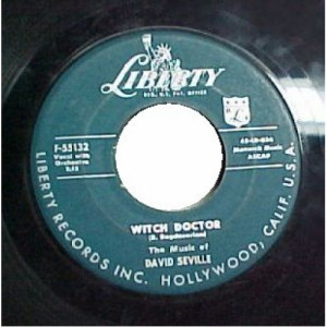 David Seville - Don't Whistle At Me Baby / Witch Doctor - 45 - Vinyl - 45''