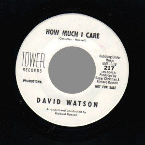 David Watson - How Much I Care / Please Won't You Stay - 45 - Vinyl - 45''
