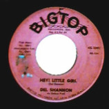 Del Shannon - Hey! Little Girl / I Don't Care Anymore - 45