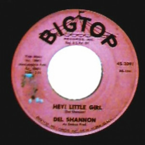 Del Shannon - Hey! Little Girl / I Don't Care Anymore - 45 - Vinyl - 45''
