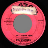 Del Shannon - I Don't Care Anymore / Hey! Little Girl - 45