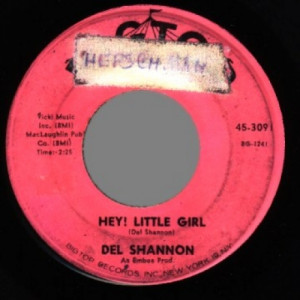 Del Shannon - I Don't Care Anymore / Hey! Little Girl - 45 - Vinyl - 45''