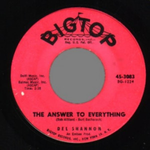 Del Shannon - So Long Baby / The Answer To Everything - 45 - Vinyl - 45''
