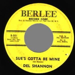 Del Shannon - Sue's Gotta Be Mine / Now She's Gone - 45 - Vinyl - 45''