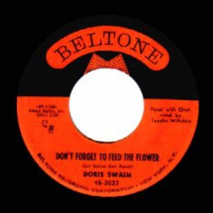 Doris Swain - You're All The Dreams I've Ever Had / Don't Forget To Feed The Flower - 45 - Vinyl - 45''