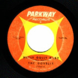 Dovells - Your Last Chance / Hully Gully Baby - 45