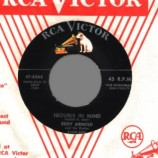 Eddy Arnold - When You Said Goodbye / Trouble In Mind - 45