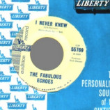 Fabulous Echoes - Keep Your Love Strong / I Never Knew - 45
