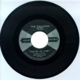 Falcons - You're So Fine / Goddess Of Angels - 45