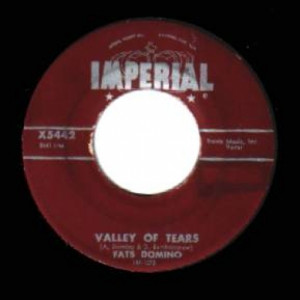 Fats Domino - Valley Of Tears / It's You I Love - 45 - Vinyl - 45''