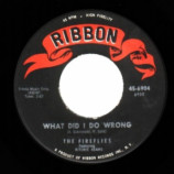 Fireflies - I Can't Say Goodbye / What Did I Do Wrong - 45