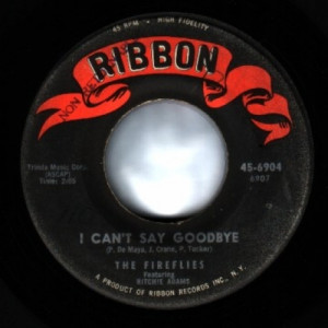 Fireflies - What Did I Do Wrong / I Can't Say Goodbye - 45 - Vinyl - 45''