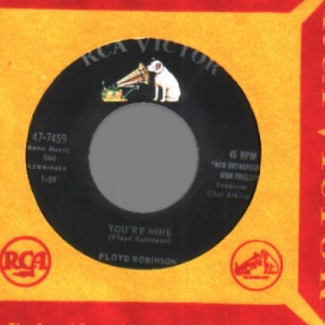 Floyd Robinson - The Man On The Moon Is A Lady / You're Mine - 45 - Vinyl - 45''